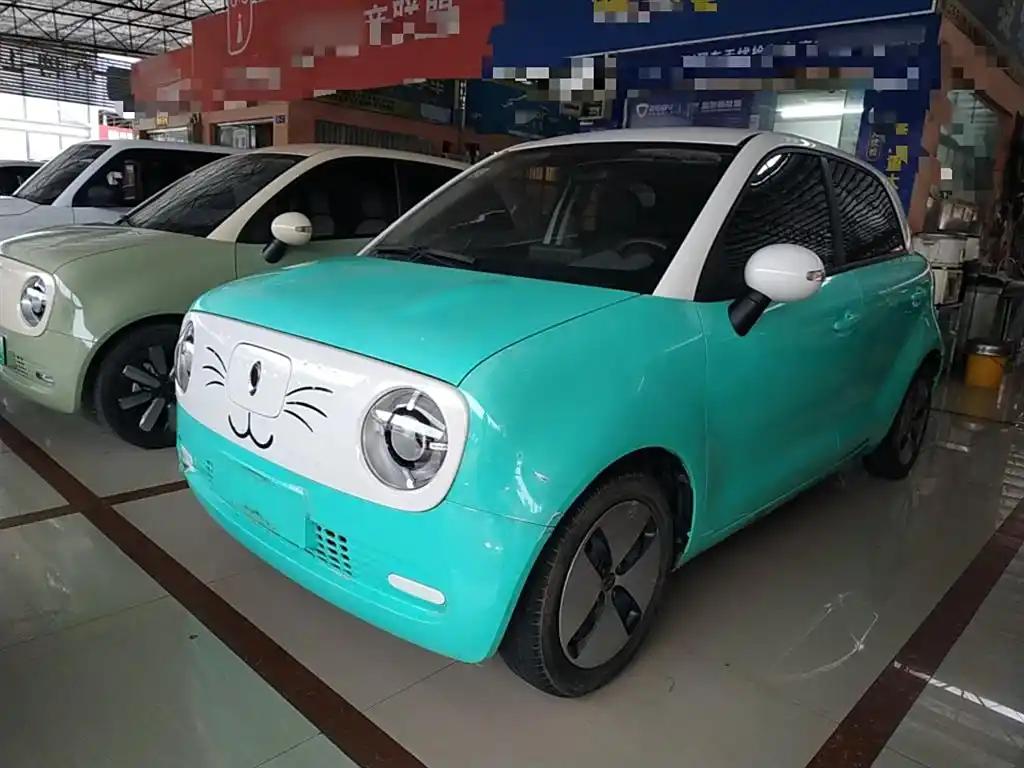 ORA Black Cat 2019 Cute China Electric City Car Affordable