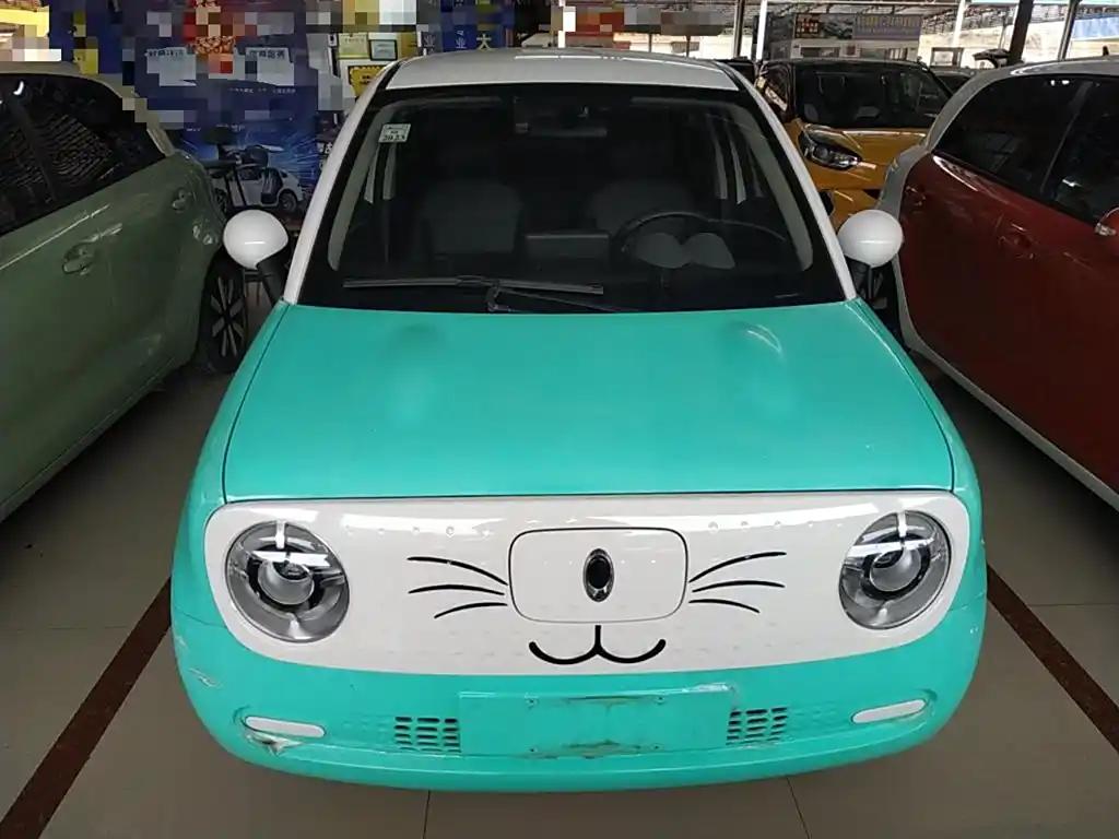 ORA Black Cat 2019 Cute China Electric City Car Affordable