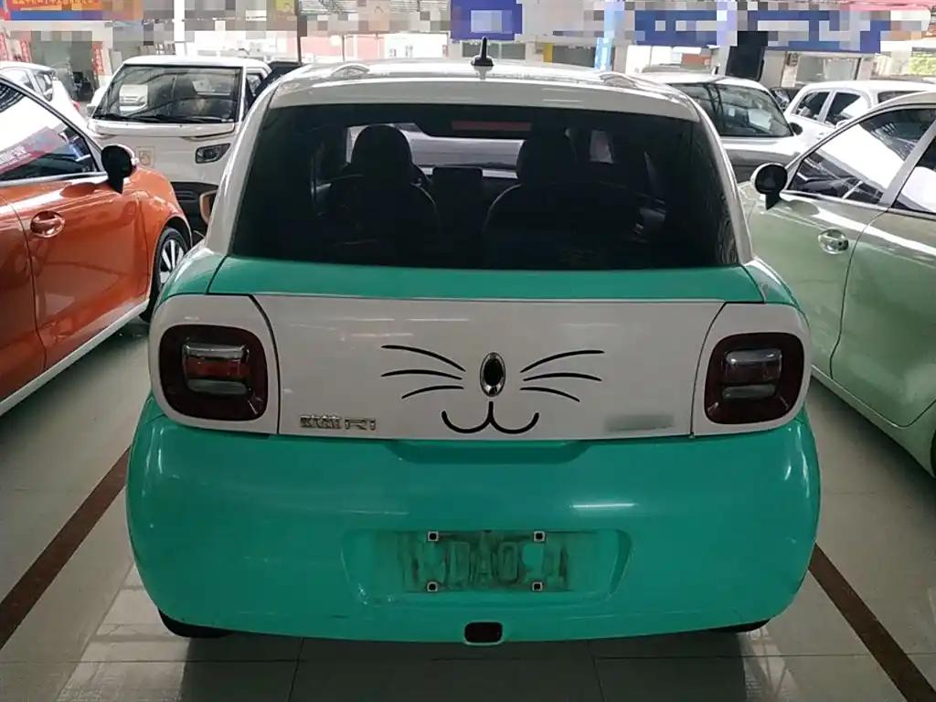 ORA Black Cat 2019 Cute China Electric City Car Affordable