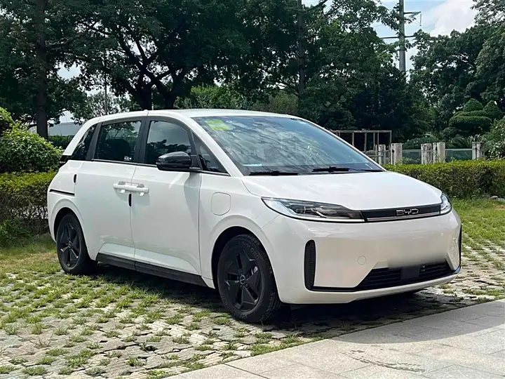 2024 BYD D1 Affordable Electric Sedans