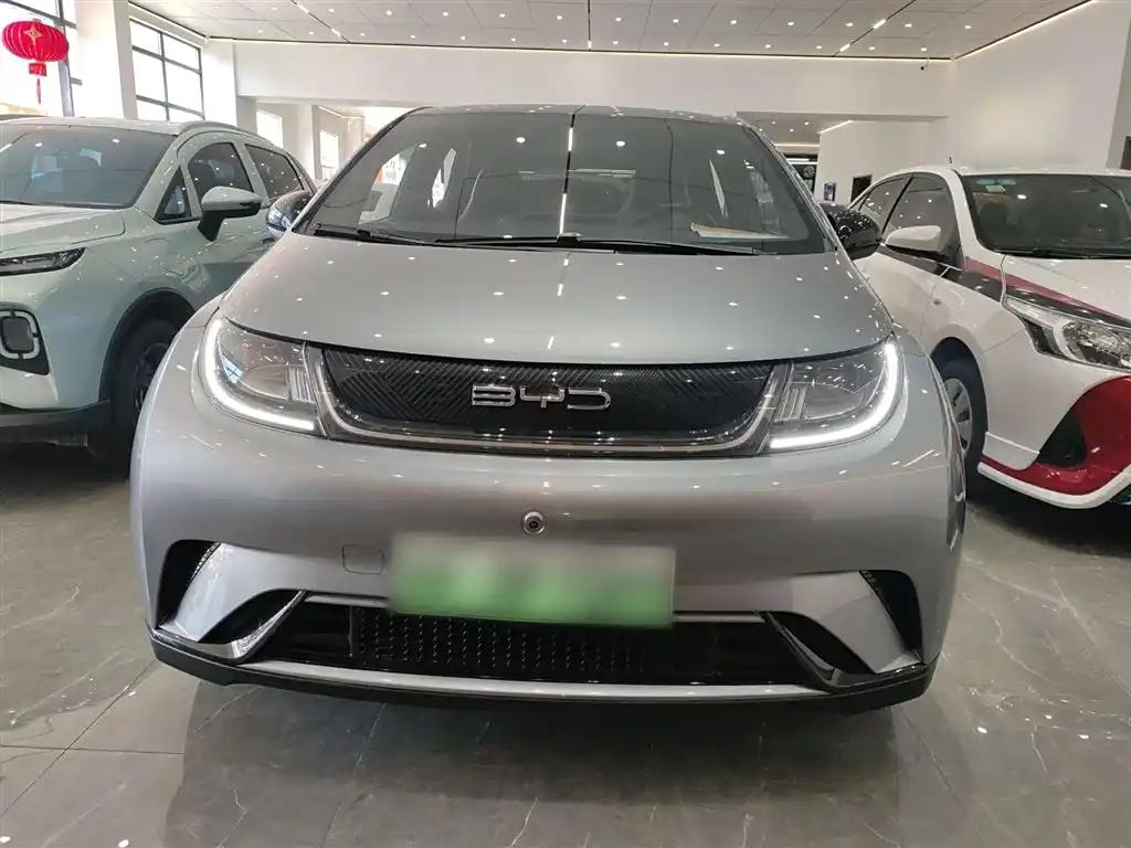 BYD Dolphin 2023 Silver-Grey Electric Car Affordable