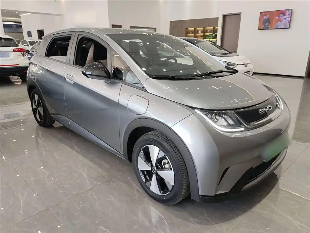 BYD Dolphin 2023 Silver-Grey Electric Car Affordable