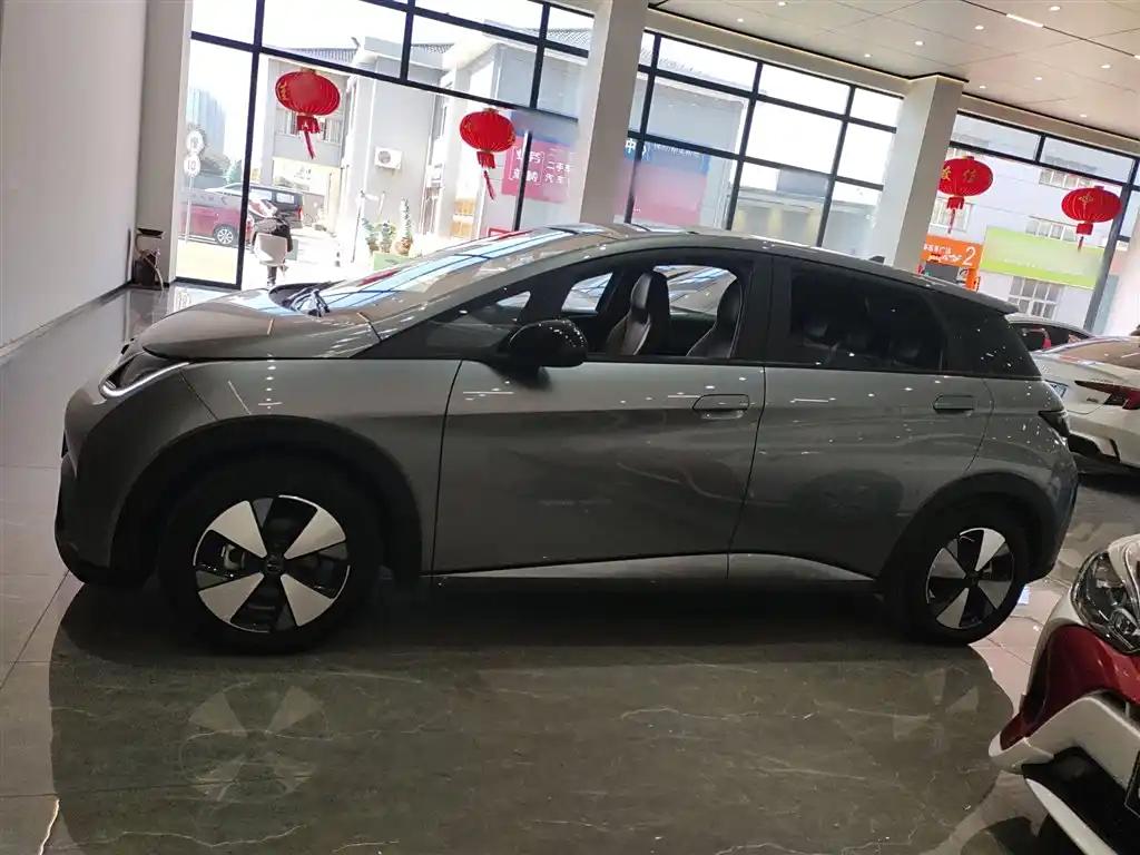 BYD Dolphin 2023 Silver-Grey Electric Car Affordable