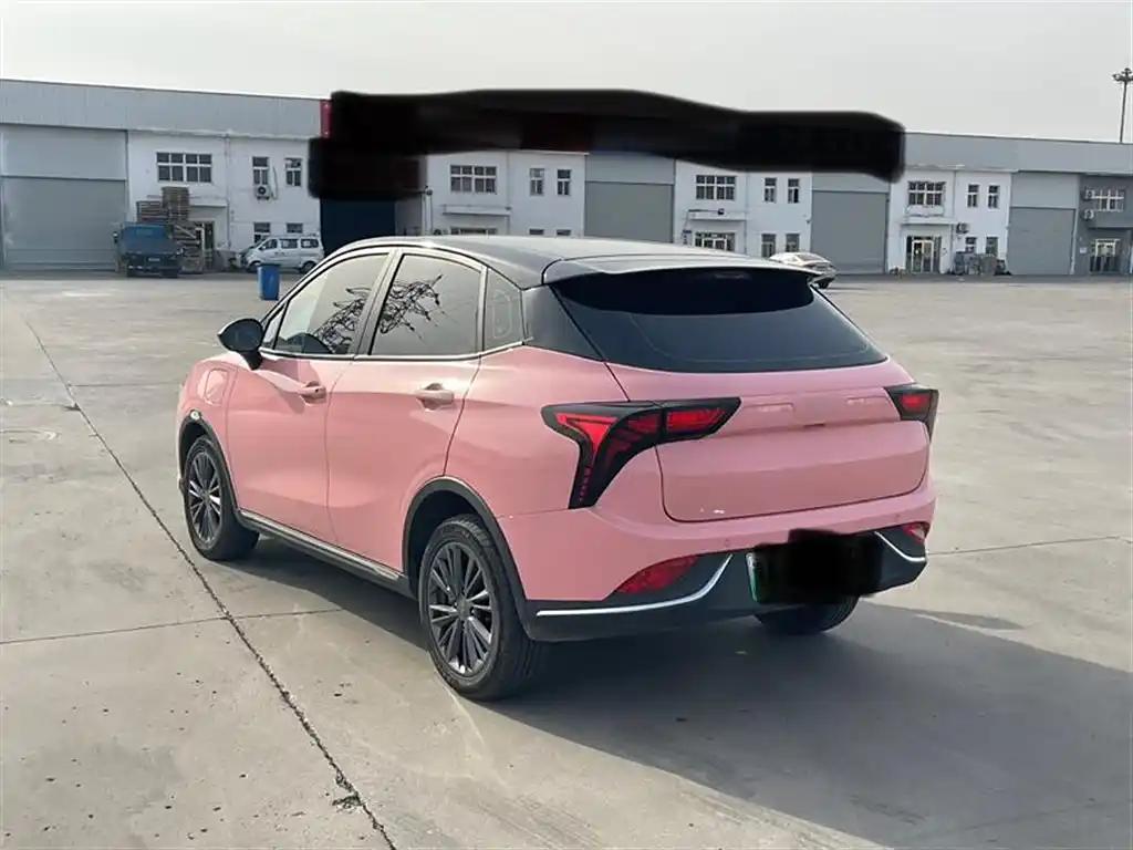 Neta V 400 2022 Pink Small Electric SUV Cars