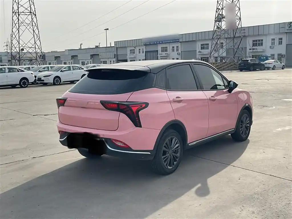 Neta V 400 2022 Pink Small Electric SUV Cars