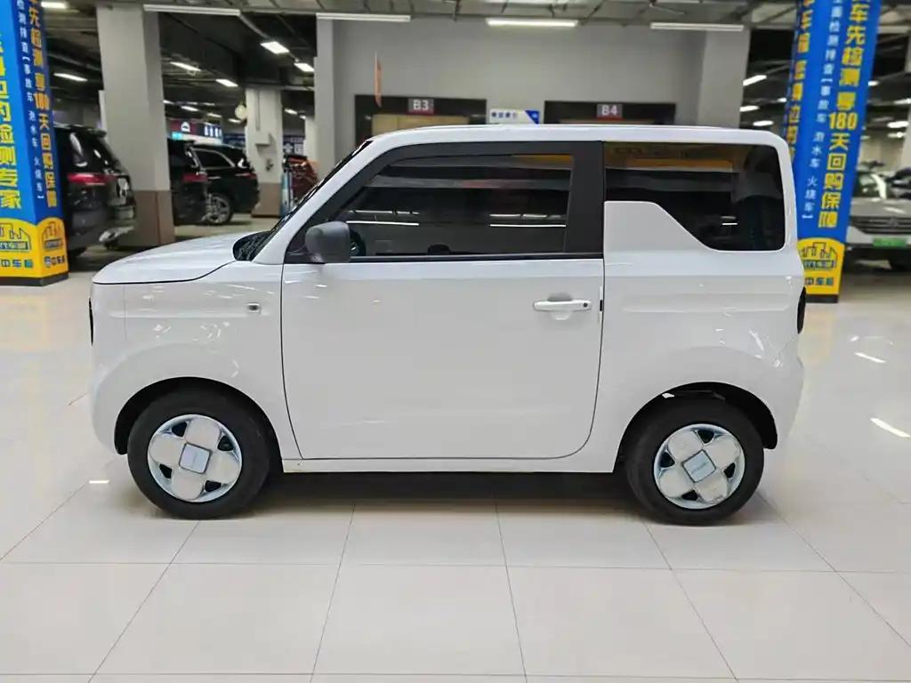 Geely Panda 2023 White New Energy Mini Electric Car