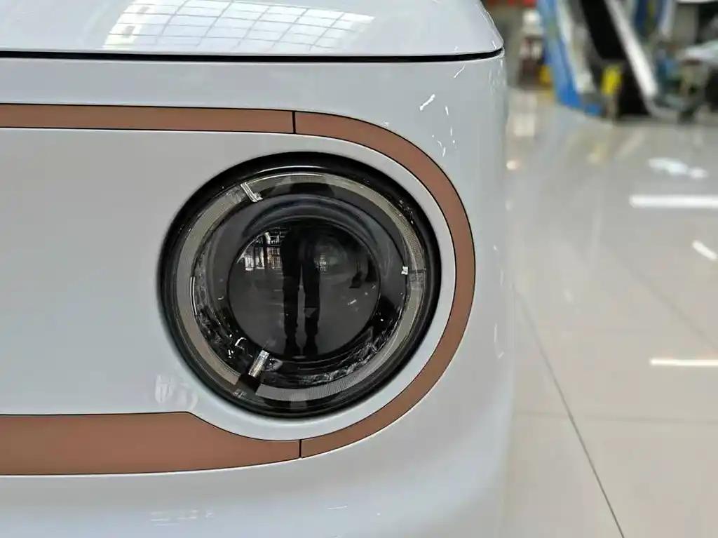 Geely Panda 2023 White New Energy Mini Electric Car