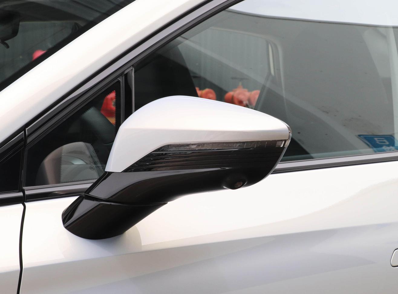 AION 2025 S Max China New Energy Vehicles