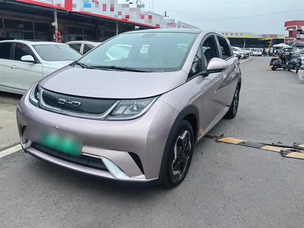 BYD Dolphin 2022 China Compact Electric Car Good Condition