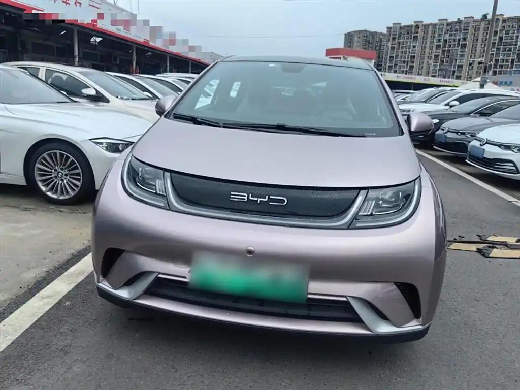 BYD Dolphin 2022 China Compact Electric Car Good Condition