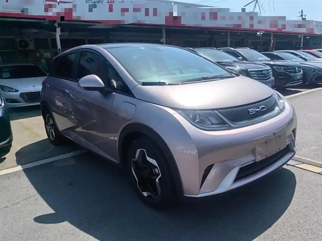 BYD Dolphin 2022 China Compact Electric Car Good Condition