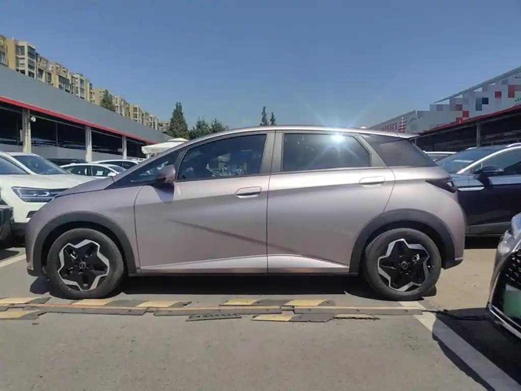 BYD Dolphin 2022 China Compact Electric Car Good Condition