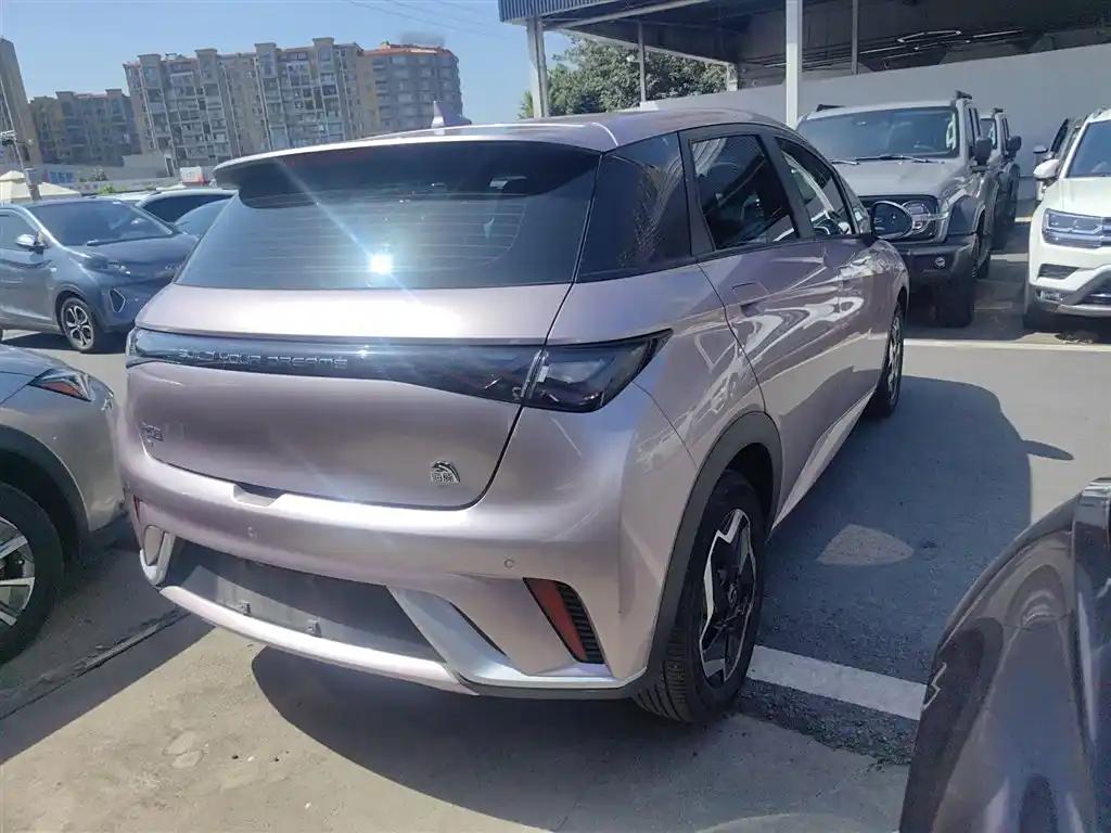 BYD Dolphin 2022 China Compact Electric Car Good Condition