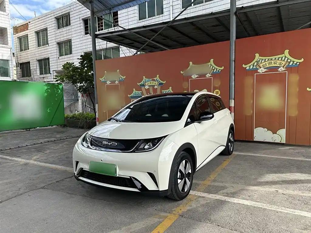 BYD Dolphin 2023 White Electric Car Leader