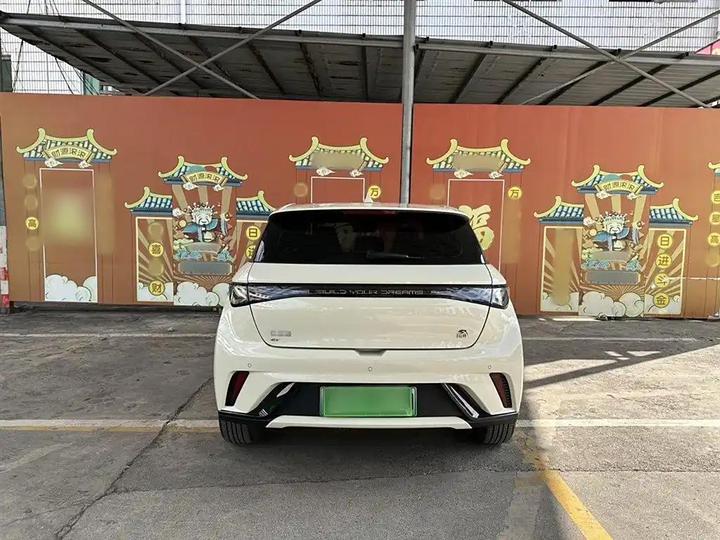 BYD Dolphin 2023 White Electric Car Leader