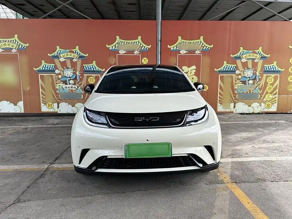 BYD Dolphin 2023 White Electric Car Leader