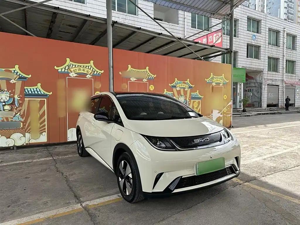 BYD Dolphin 2023 White Electric Car Leader