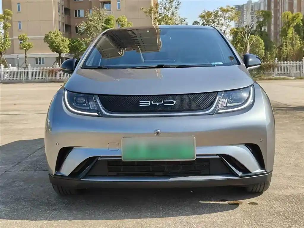 BYD Dolphin 2023 New Energy Electric Car