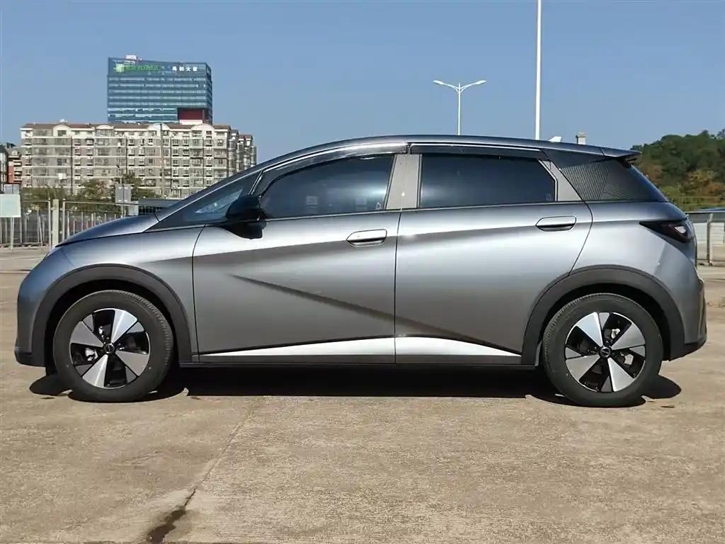 BYD Dolphin 2023 New Energy Electric Car