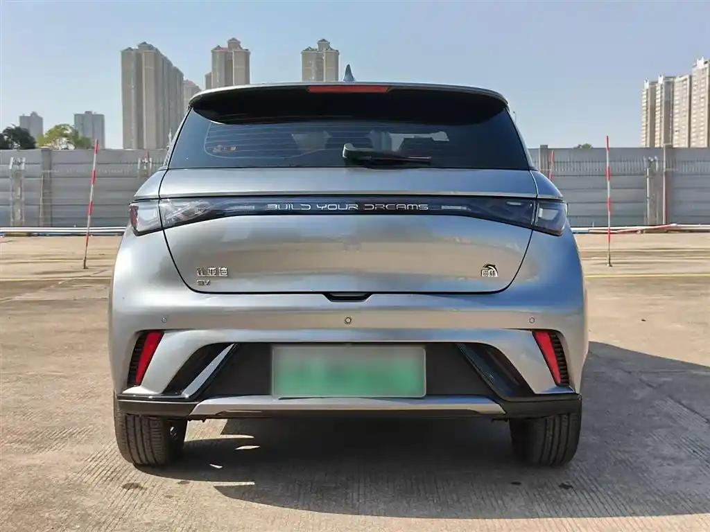 BYD Dolphin 2023 New Energy Electric Car