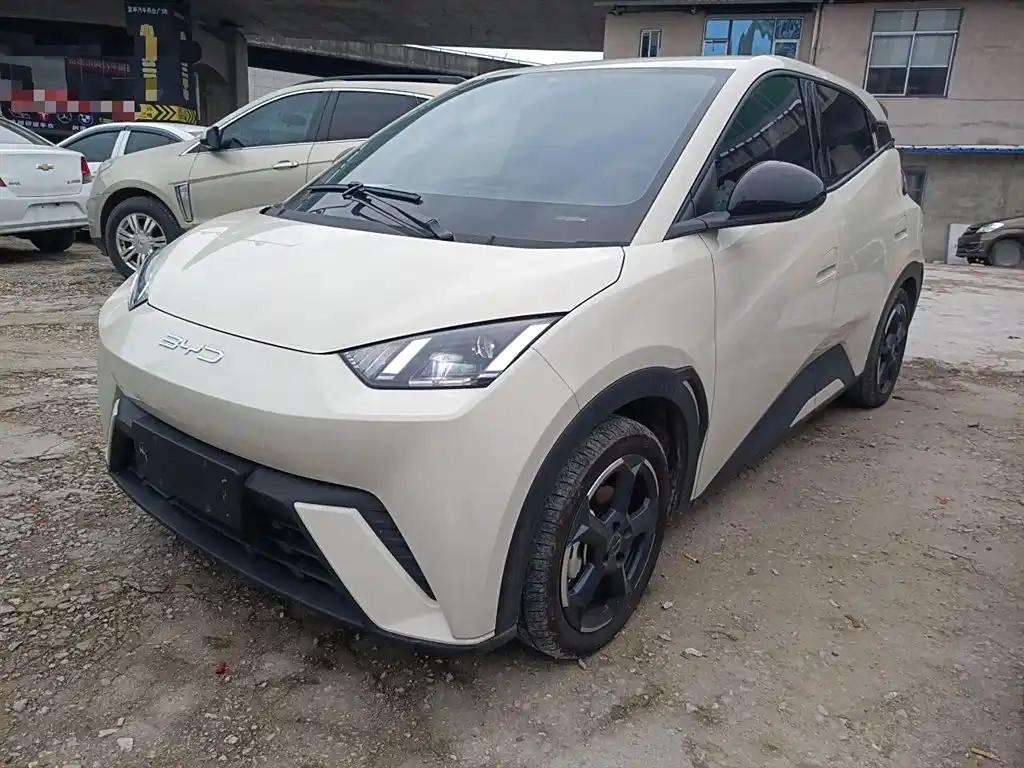 BYD Seagull 2023 Affordable New Energy Electric Vehicle