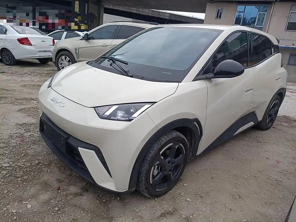 BYD Seagull 2023 Affordable New Energy Electric Vehicle