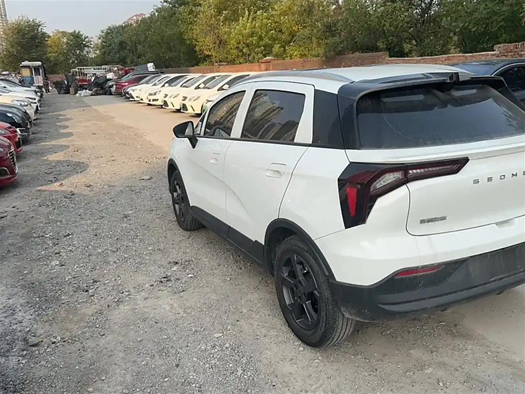 Geely Geometry E 2022 Firefly City Affordable Electric Car