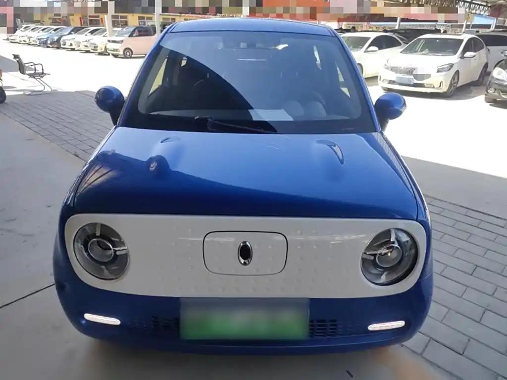 ORA Black Cat 2020 Blue Used Electric Vehicle Export