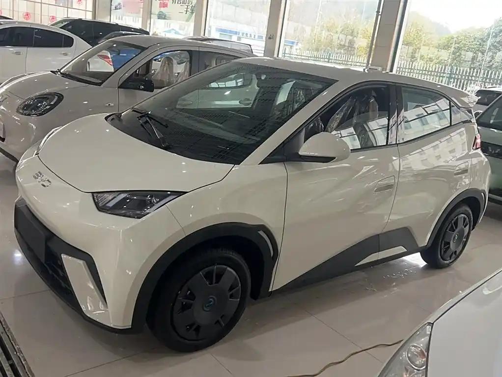 BYD Seagull 2024 White Compact Electric Car