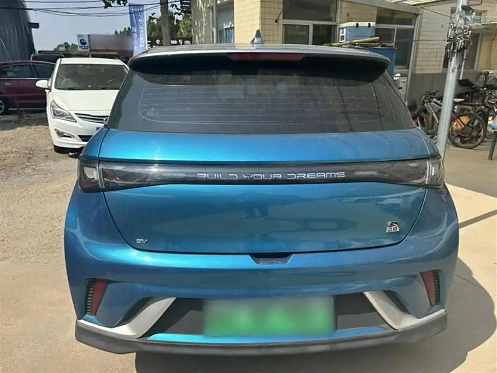 BYD Dolphin 2022 Blue Compact New Energy Car