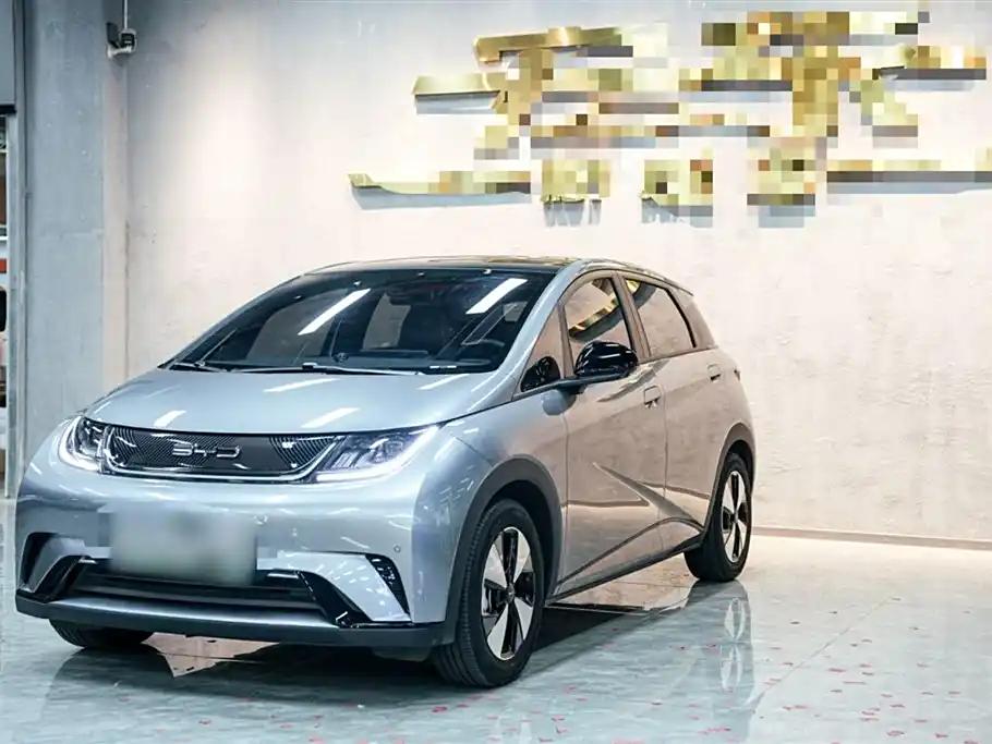 BYD Dolphin 2024 China 5-Seats New Energy Vehicle
