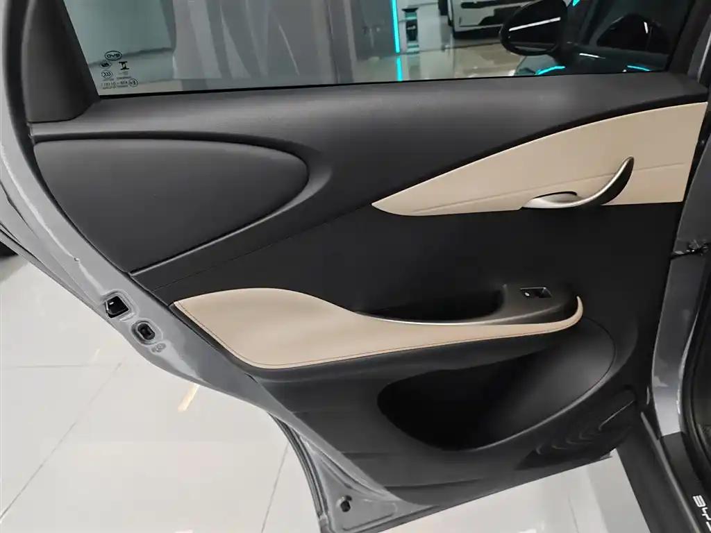 BYD Dolphin 2024 China 5-Seats New Energy Vehicle