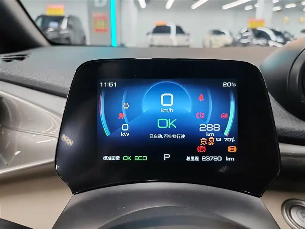 BYD Dolphin 2024 China 5-Seats New Energy Vehicle