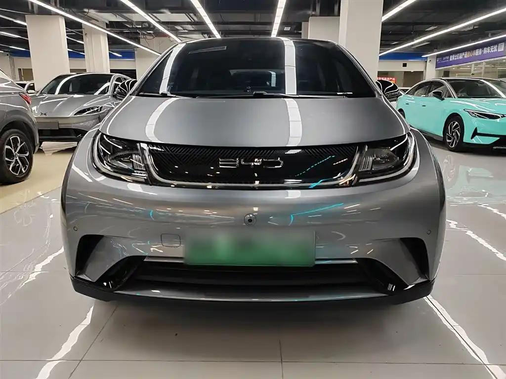 BYD Dolphin 2024 China 5-Seats New Energy Vehicle