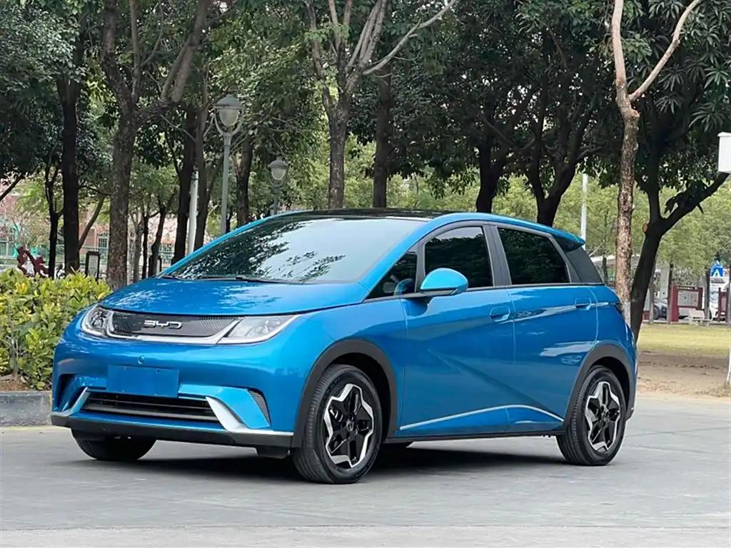 BYD Dolphin 2022 China Blue New Energy Vehicle