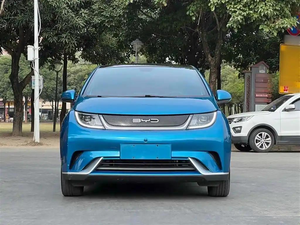 BYD Dolphin 2022 China Blue New Energy Vehicle