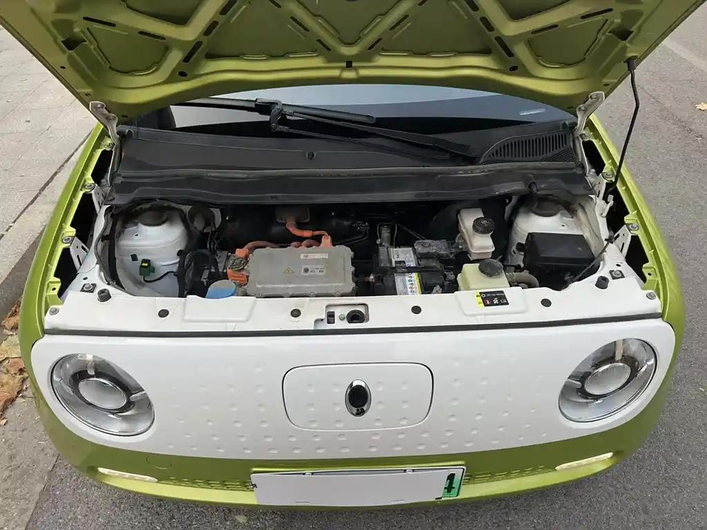 ORA Black Cat 2021 5-Seater Green China's New Energy Vehicle